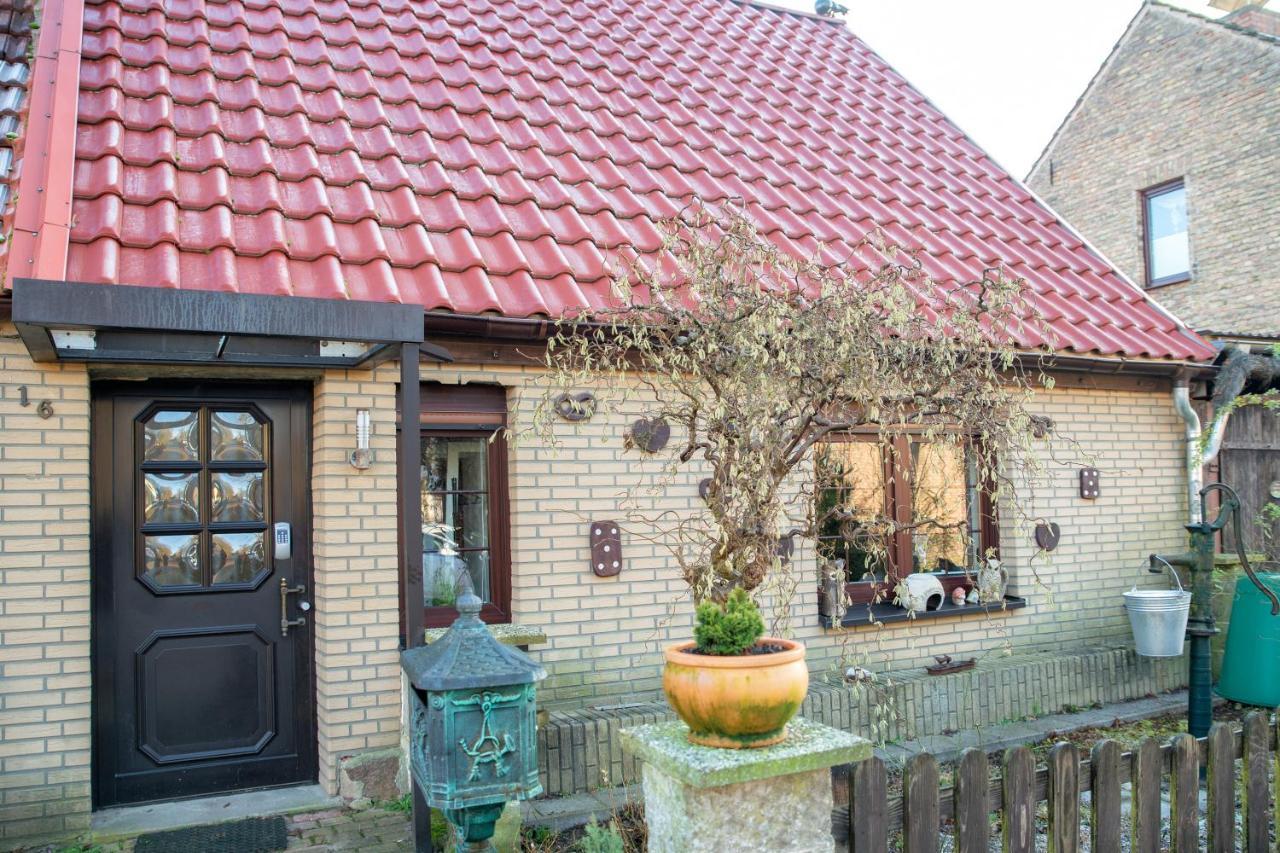 Ferienhaus Am Reiterhof Templin Esterno foto